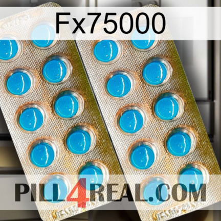 Fx75000 new08